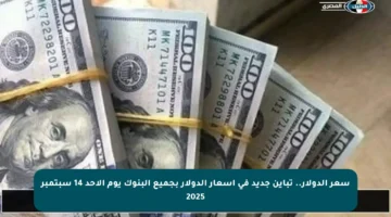 سعر الدولار.. تباين جديد في أسعار الدولار بجميع البنوك يوم الأحد 14 سبتمبر 2025